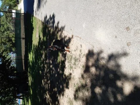 Park 2 스톡 사진