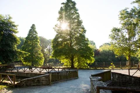 Park 7 Stock Photos