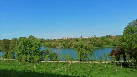 Park from above Stock Footage 153676137