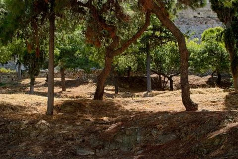 Park acropolis. Stock Photos