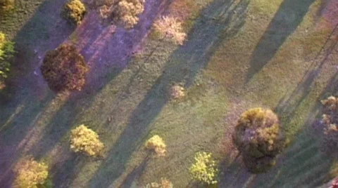 Park aerial Stock Footage 276290