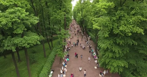 Park aerial view, summer garden Saint-Petersburg, Russia Video stock 68973853