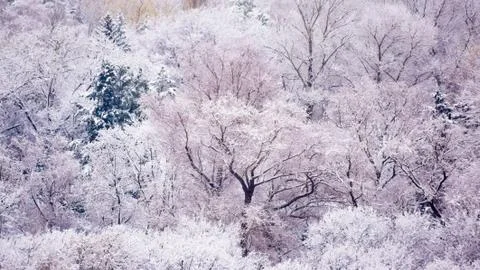 Park after the first snowfall at the beginning of winter Stock Photos