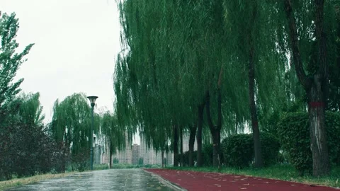 Park after rain Stock-Footage 234053759