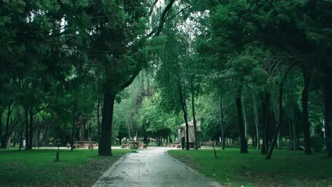 Park after rain, quiet path Stock Footage 234053840