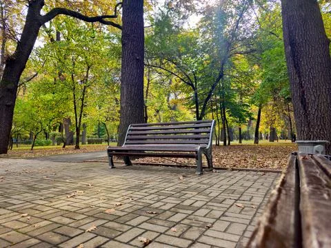 Park and bench Stock Photos