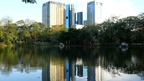 Park and cityscape Stock Footage 120742484