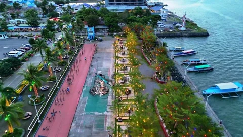 Park and Pier Video stock 323803241