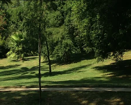 PARK and pond with ducks AUDIO Stock-Footage 11522575