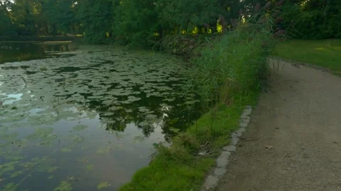 Park and Pond Stock Footage 249681295