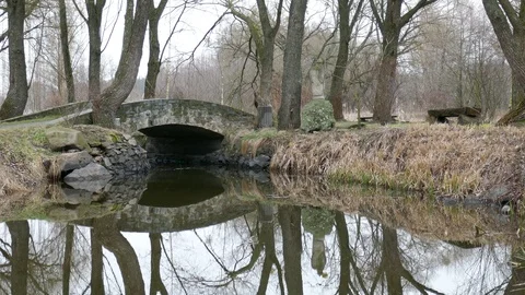 Park and quiet river view and river reflection Stock Footage 126748163