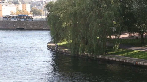 Park and river in the metropolis Stock Footage 61568169