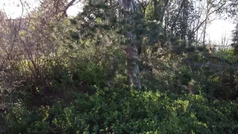 Park and Seattle Vídeos de archivo 133745930