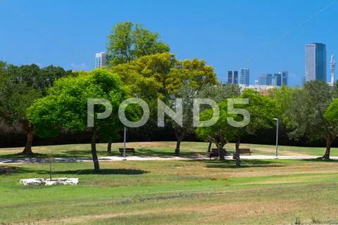 Park and skyscrapers Stock Photos