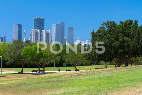 Park and skyscrapers Stock Photos