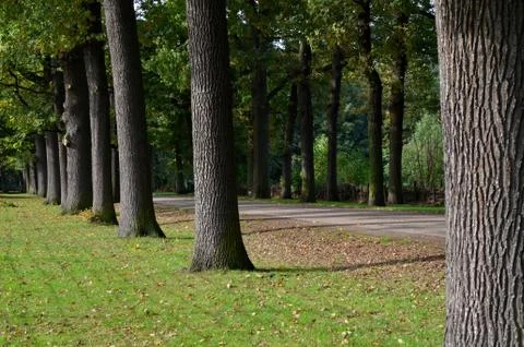 A park in Antwerp 库存照片