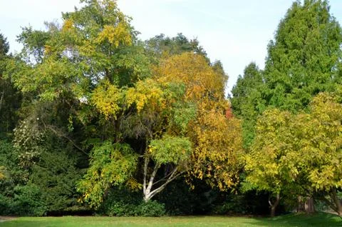A park in Antwerp 写真素材
