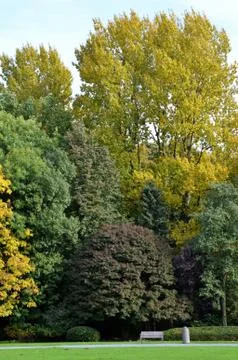 A park in Antwerp Stock Photos