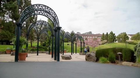 Park Arches Outside Stock-Footage 89558681