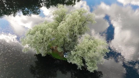 Park with architecture Stock Footage 129120768