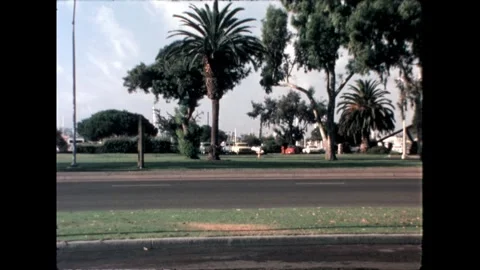 Park Area and Traffic Stock Footage 276290244