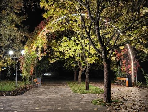 Park area in the evening Stock Photos