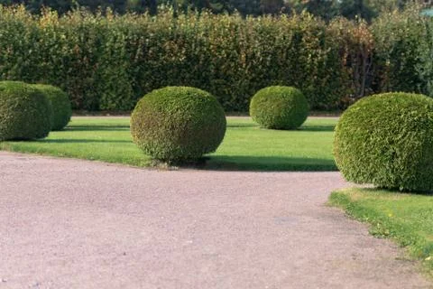 Park area Stock Photos