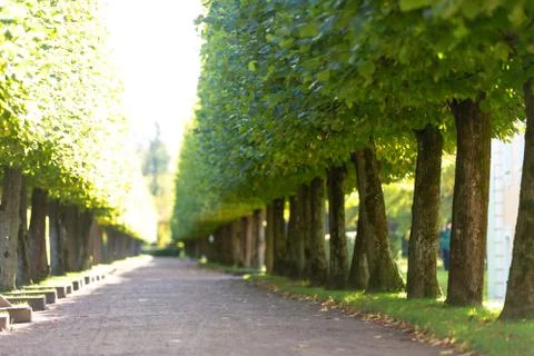 Park area Stock Photos