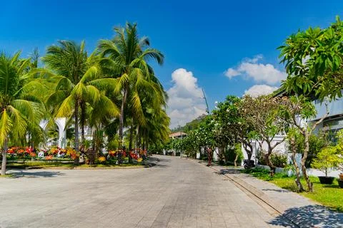 The park area. Foto stock