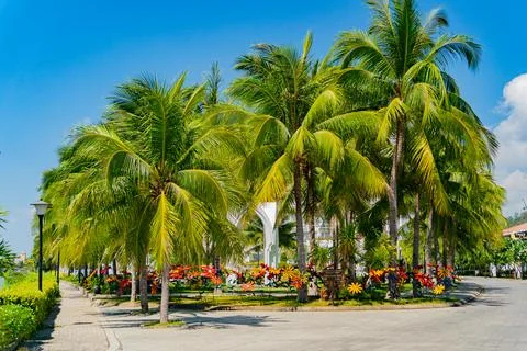 The park area. 库存照片