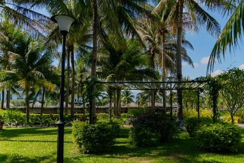 The park area. Photos