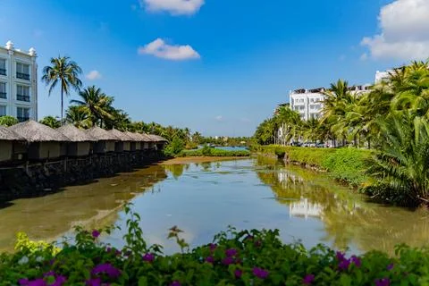 The park area. 스톡 사진