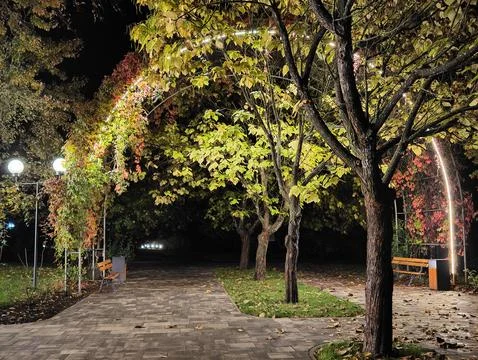 Park area Stock Photos