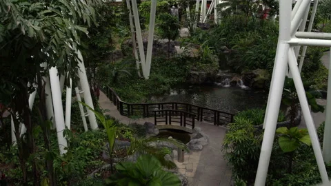 Park with artificial pond with fish Stock Footage 91833618