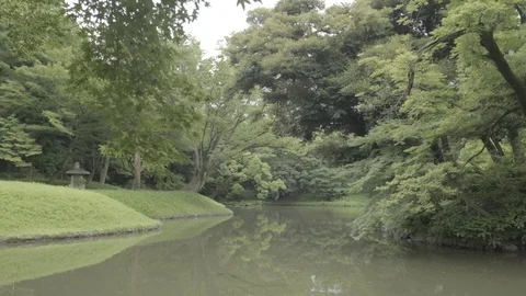 Park Atmosphere Stock Footage 122917255