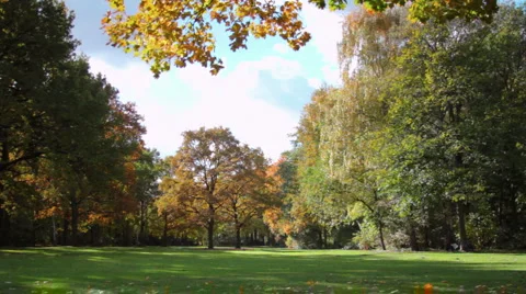 Park in autumn Stockbeeldmateriaal 905473