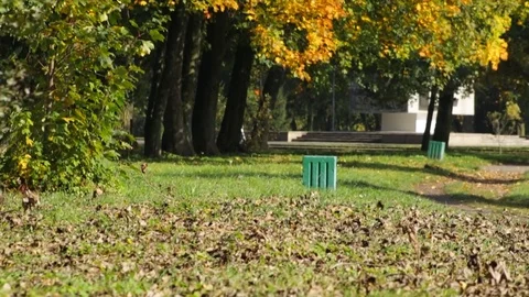 Park in the autumn Video stock 81492310