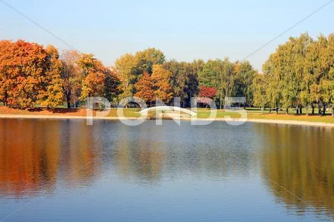 Park in autumn Stock Photos