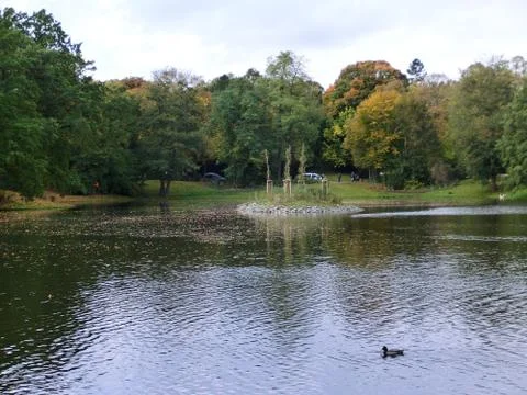 A park in Autumn Stock Photos