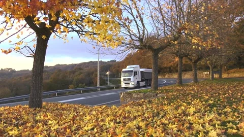 PARK IN AUTUMN WITH TREES AND LEAFS IN THE GROUND AND A TRUCK Stock Footage 99665224