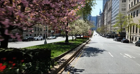 PARK AVE  IN COLORS Stock Footage 129529196