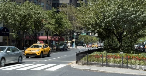 Park Ave in NYC with Divider Stock Footage 114333580