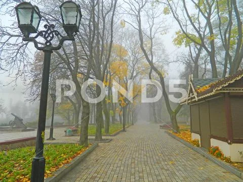 Park avenue autumn Stock Photos