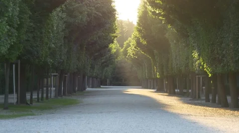 Park avenue in the rays of the setting sun Stock Footage 66760309