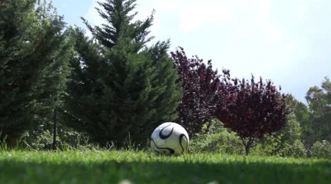 Park  ball Stock Footage 23912833