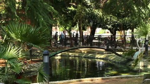 Park In Batumi 3 Stock Footage 53109325