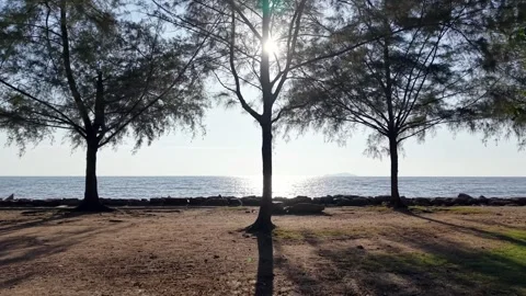 Park with a beach in the background Stock Footage 332249047