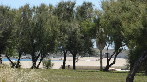 Park By The Beach Stock Footage 51753422