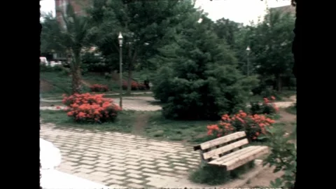 Park Bench and Flowers Stock Footage 278040202