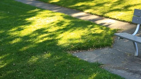 PARK BENCH AND GRASS PAN IN PARK Stock Footage 96562090